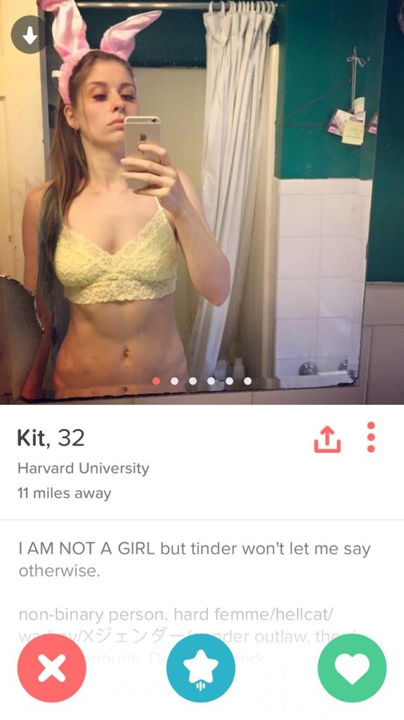 Best Funny Tinder Bios for Guys. 