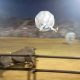 Bull Zorbs