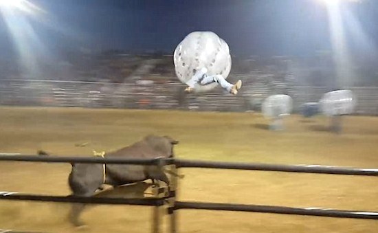 Bull Zorbs