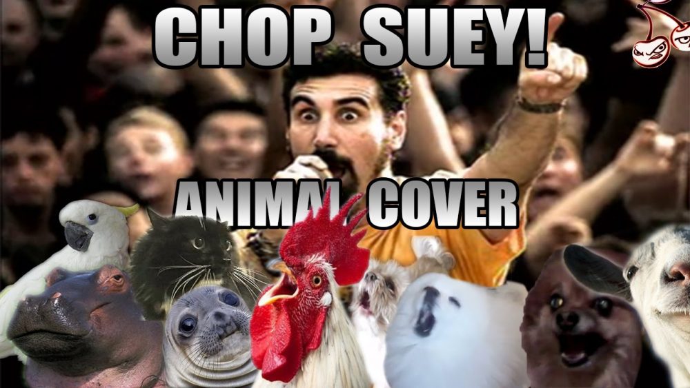 Chop Suey Animal cover