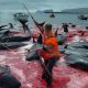 DEAD DOLPHINS