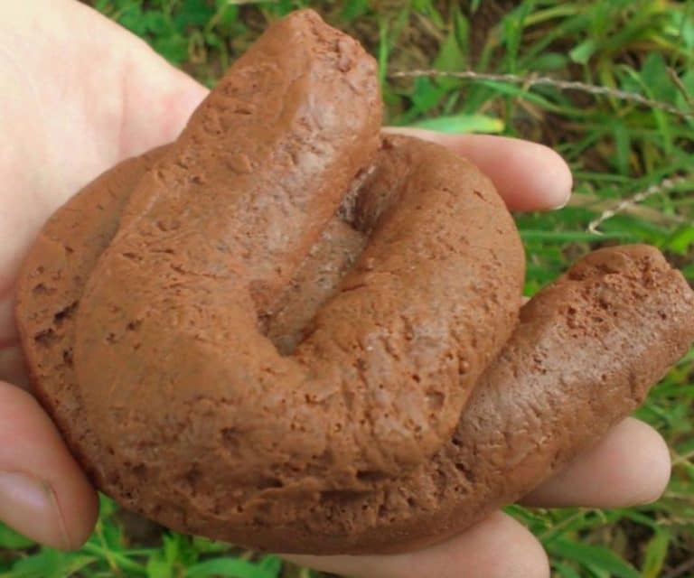 20 Men Rubbed Fake Poo On A 4 Year Old Asian Girl’s Face In A Racist Attack