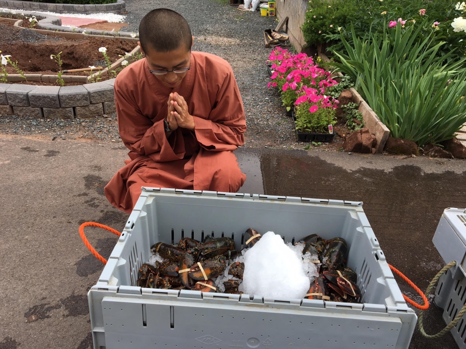 Monk Praying