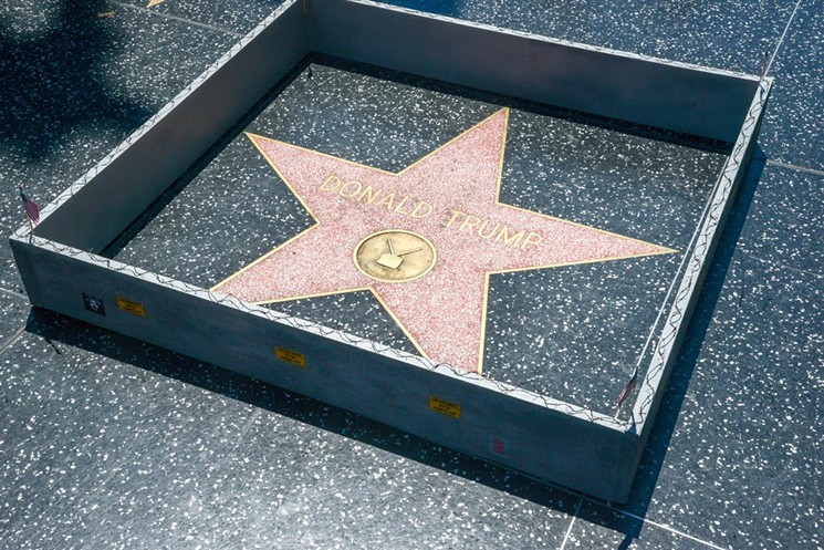 Wall Donald Trump Star