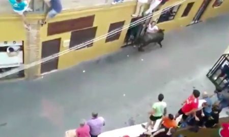 Woman Gored Bull