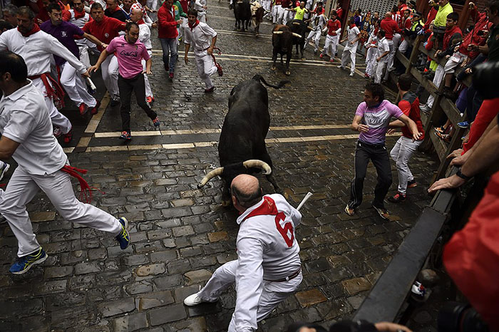 A reveler runs close to a Nunez del Cubillo's fighting bulls on the Estafeta corner during the seventh day of the running of the bulls at the San Fermin Festival, in Pamplona, northern Spain, Wednesday, July 13, 2016. An American was gored in the left leg and taken to a city hospital, spokesman said, and four other runners were hospitalized. Revelers from around the world flock to Pamplona every year to take part in the eight days of the running of the bulls. (AP Photo/Alvaro Barrientos)