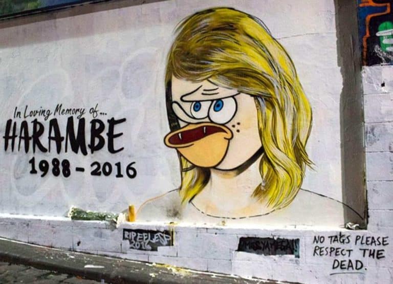 What Your Meme Style Says About You