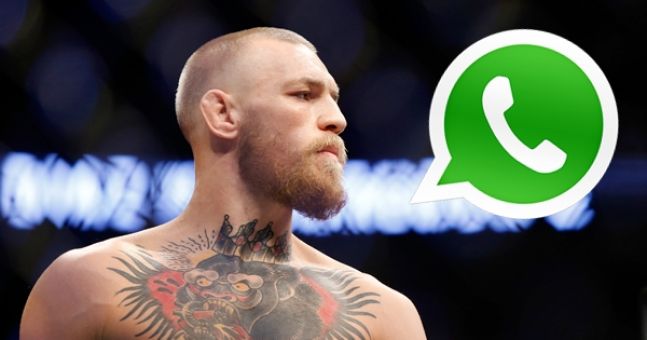 Conor McGregor Whatsapp