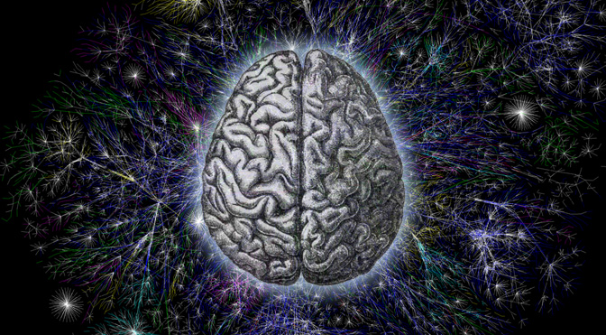 Consciousness Quantum Brain