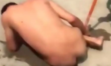 Dog rapist captured