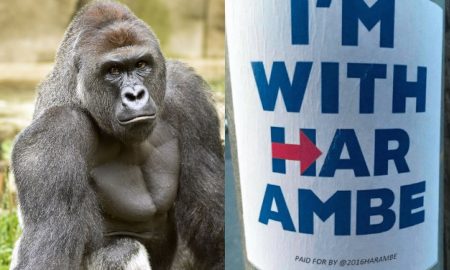 Harambe president