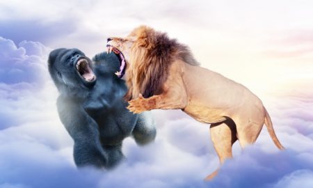 Harambe vs Cecil