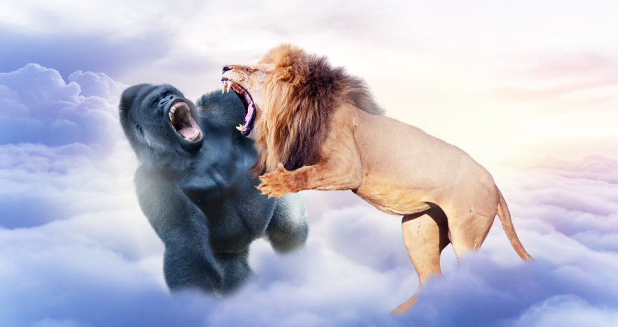 Harambe vs Cecil