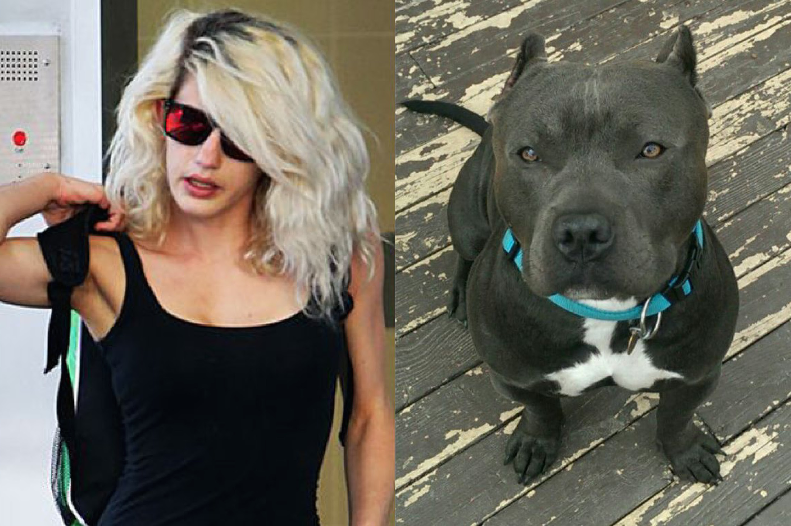 This Hot Blonde Chick Admitted To Shagging Her Pitbull After Police