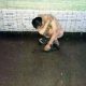 Mr Li Stripped Naked