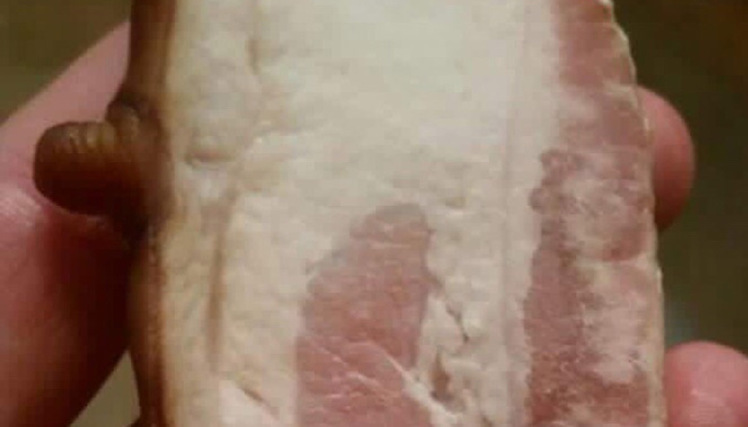 Nipple bacon