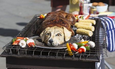 PETA dog