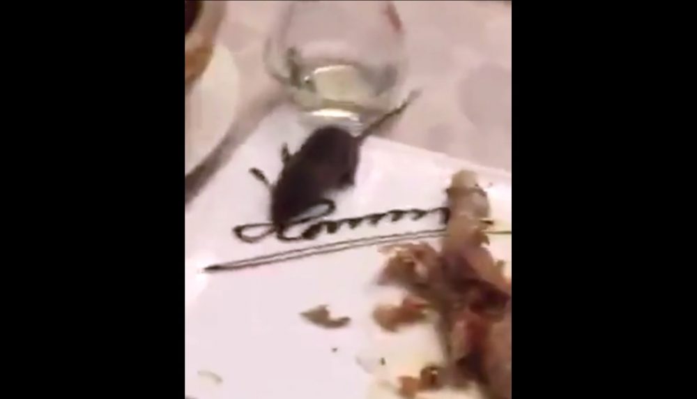 Rat dinner table