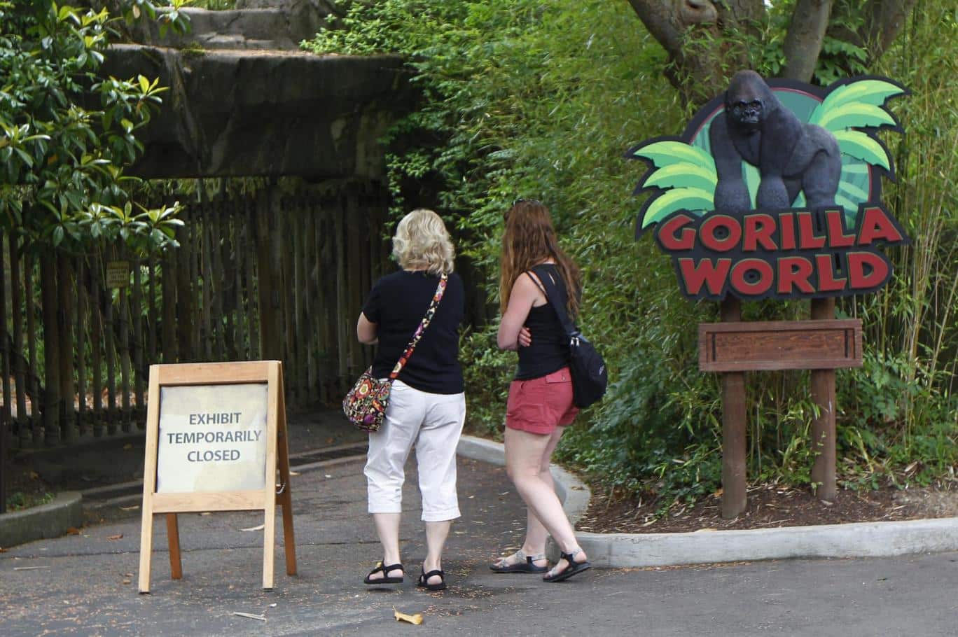 harambeexhibit