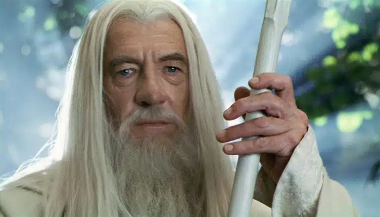 Ian McKellen Turned Down $1.5 Million To Dress Up As Gandalf At A Wedding