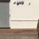 Banksy Revealed Featured copy