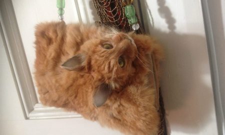 cat-handbag