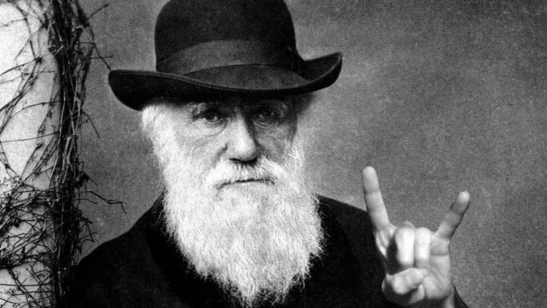 These Are The Only Arguments You’ll Ever Need For Dumb Creationist Bullshit