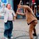 drunk-guys-fighting-weapons