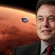 elon-musk