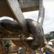giant-snake