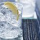 Gin And Tonic