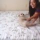 Girl Slamming Dog Against Wall
