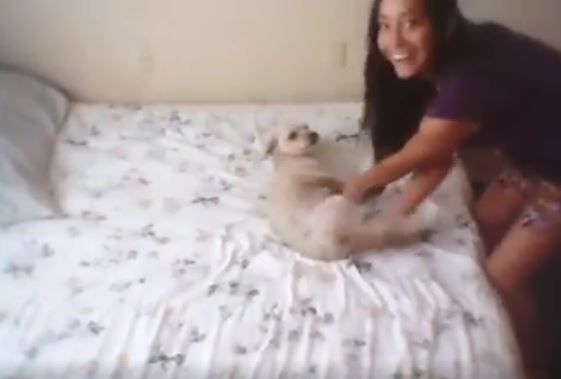 Girl Slamming Dog Against Wall