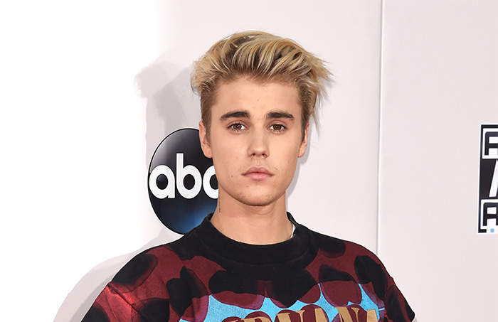 2015 American Music Awards - Arrivals