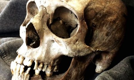 skull