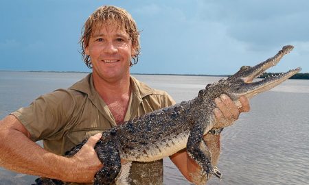 Steve Irwin