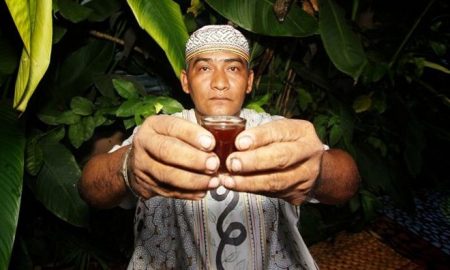 ayahuasca