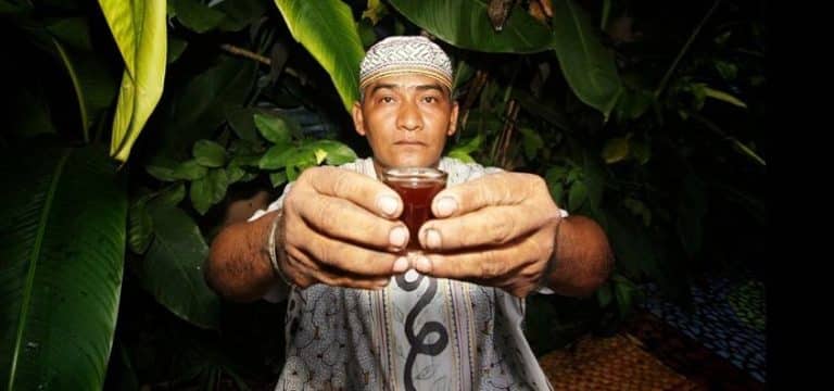ayahuasca