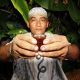 ayahuasca