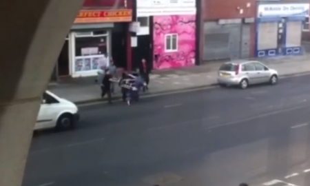 chicken-shop-fight