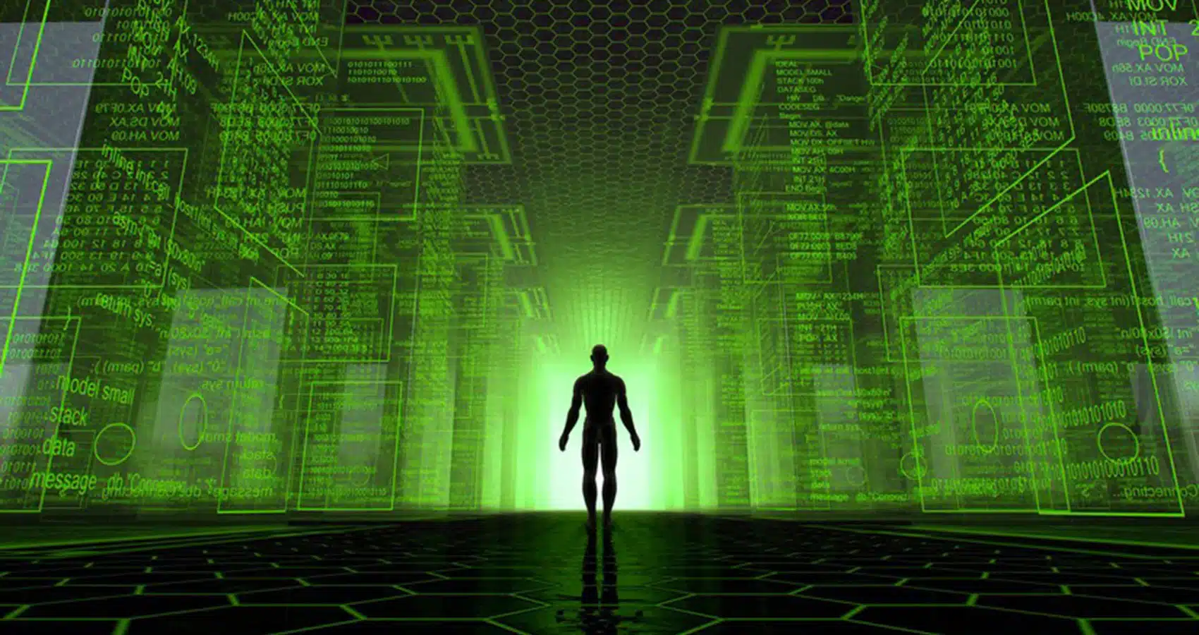 computer-simulation