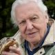 david_attenborough