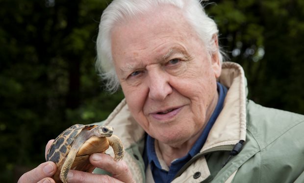 david_attenborough