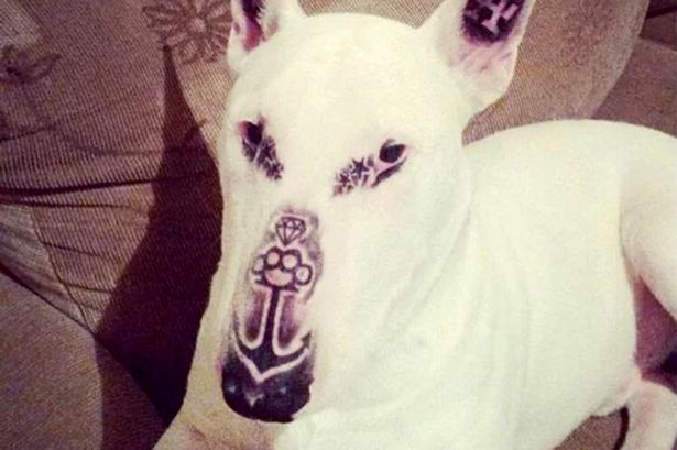 dog-tattoo-1