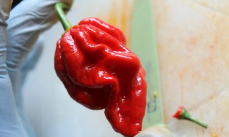 ghost-pepper