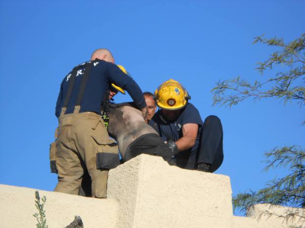 guy-stuck-chimney-2