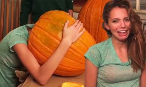 head-stuck-in-pumpkin
