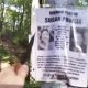 missing-person-poster