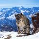 Planet Earth 2