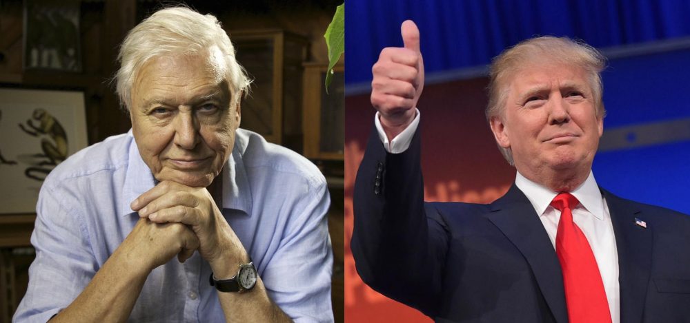 attenborough-trump